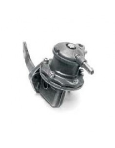 Bomba de gasolina Rover...