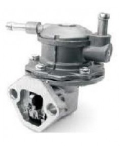 Bomba de gasolina a Fiat...